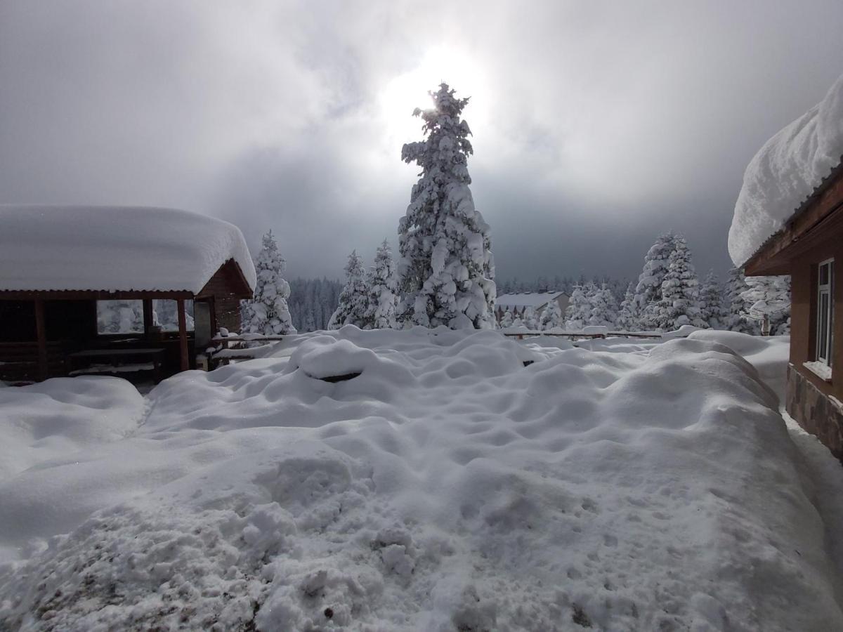 Elifim Resort Hotel Bolu Bagian luar foto