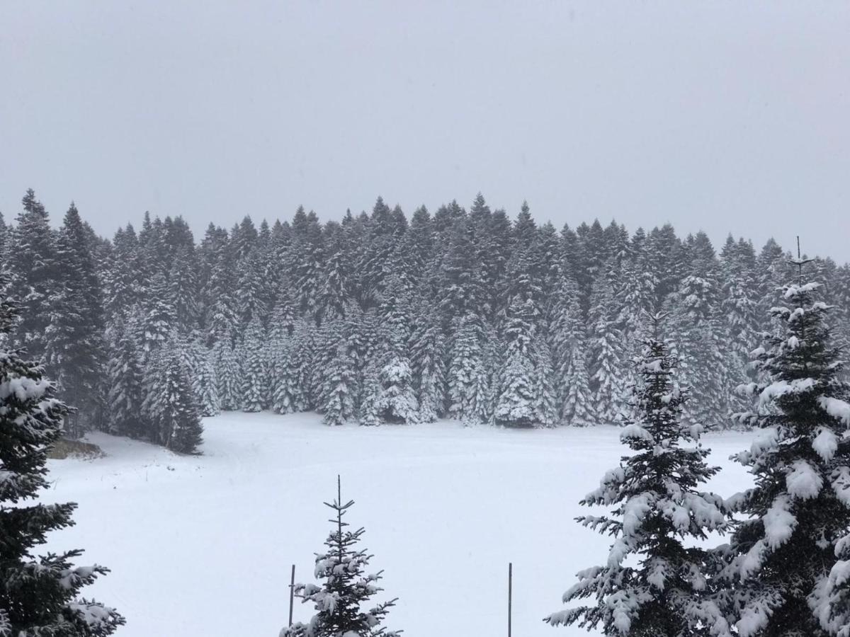 Elifim Resort Hotel Bolu Bagian luar foto