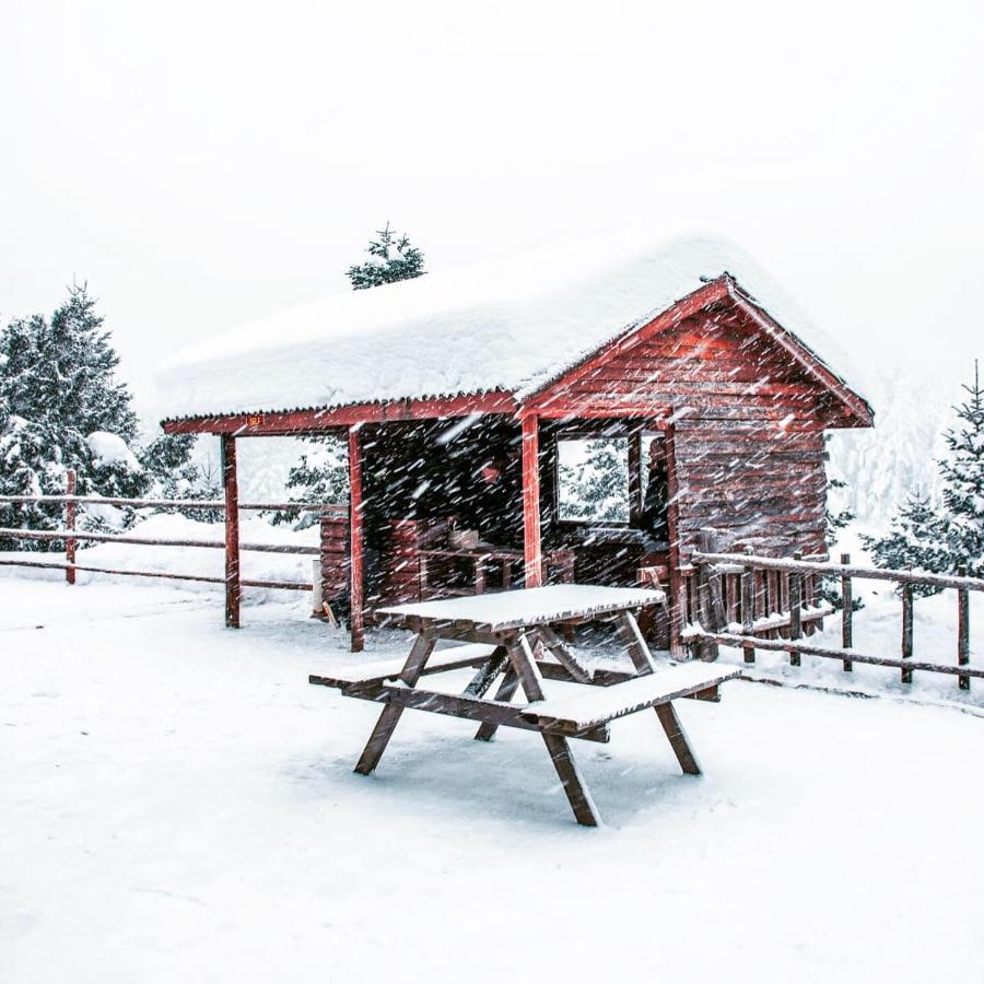 Elifim Resort Hotel Bolu Bagian luar foto