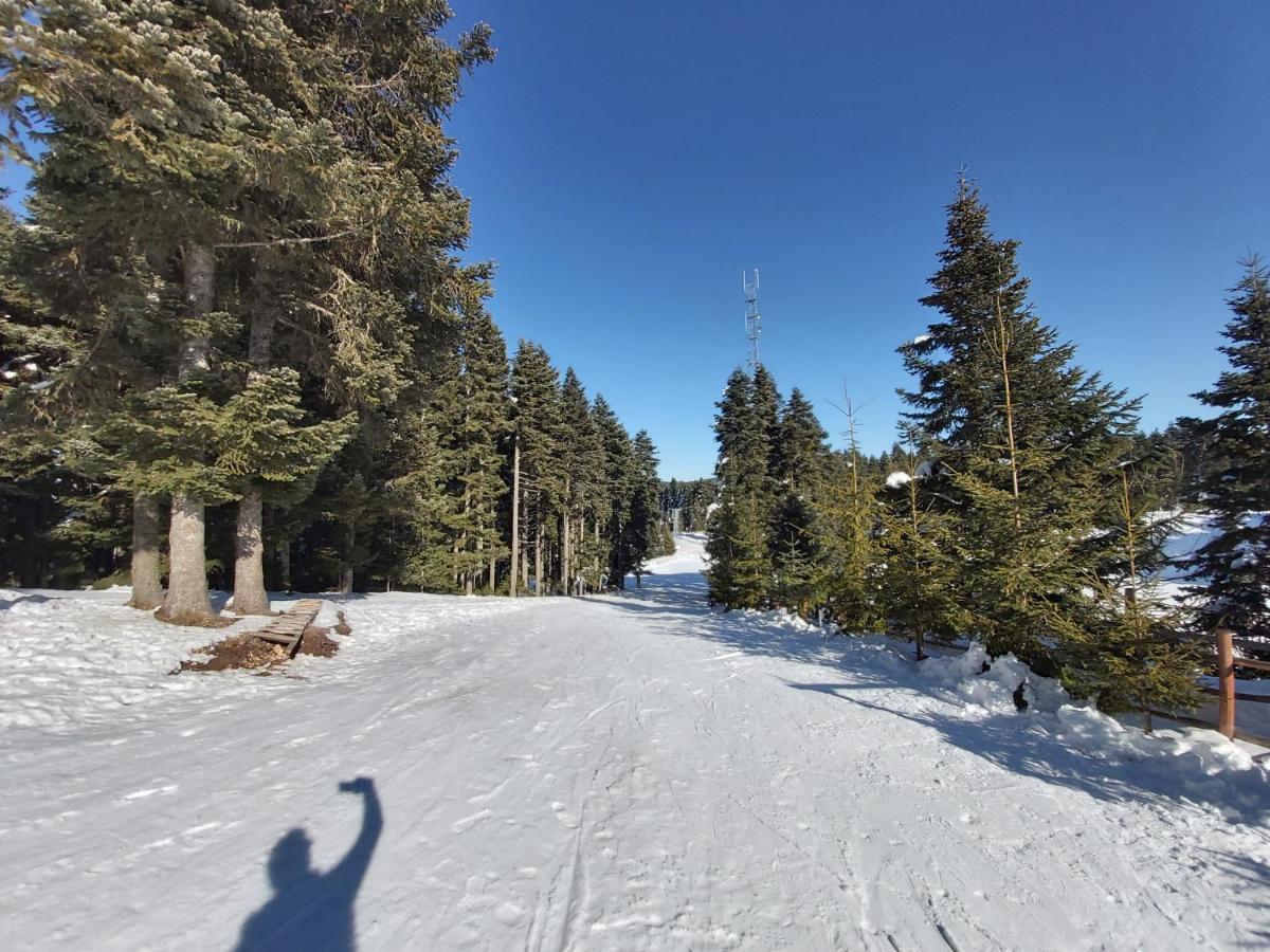 Elifim Resort Hotel Bolu Bagian luar foto