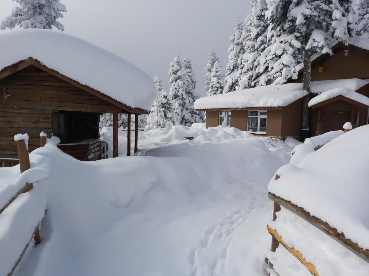 Elifim Resort Hotel Bolu Bagian luar foto