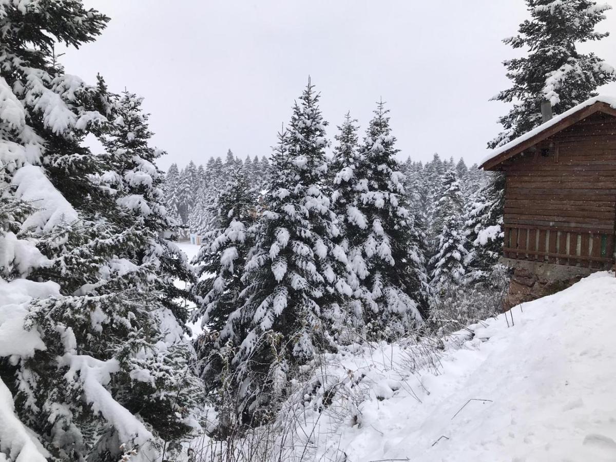 Elifim Resort Hotel Bolu Bagian luar foto